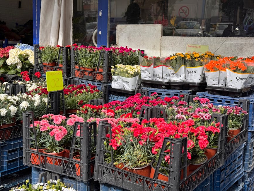 A display of various potted flowering plants arranged outdoors in black plastic crates, primarily featuring bright pink and red carnations, alongside white and yellow blooms. The plants are wrapped in