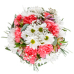 This vibrant bouquet, photographed overhead against a brilliant white backdrop, reflects the lively character of Tolworth's neighbourhoods. Its heart is a ring of radiant white daisies, each with vivid lime-green centres beaming like tiny suns. Coral-pink carnations add plush, ruffled volume, weaving warmth throughout the bouquet and recalling the colours of Tolworth's spring blossoms. Wispy gypsophila, or baby's breath, dances delicately between the central blooms, softening the whole with its cloudlike presence. Slender alstroemeria buds, touched with deep pink and shades of purple, peek from among the lush foliage, promising beauty yet to come. Silvery eucalyptus and darker green leaves ring the flowers, grounding the arrangement in rich, soothing colour, and evoking peaceful walks through local parks. The arrangement feels both abundant and soft, capturing joy and tranquility-ideal for birthdays, moments of celebration, or sending gentle encouragement to families and friends in Tolworth. Every flourish showcases careful craftsmanship, blending tradition with a touch of contemporary style, and is perfect for brightening homes or delivering heartfelt wishes throughout the area.